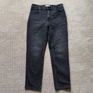 Everlane | 98% Cotton High Rise Straight Jeans in Black | Size 29 Regular